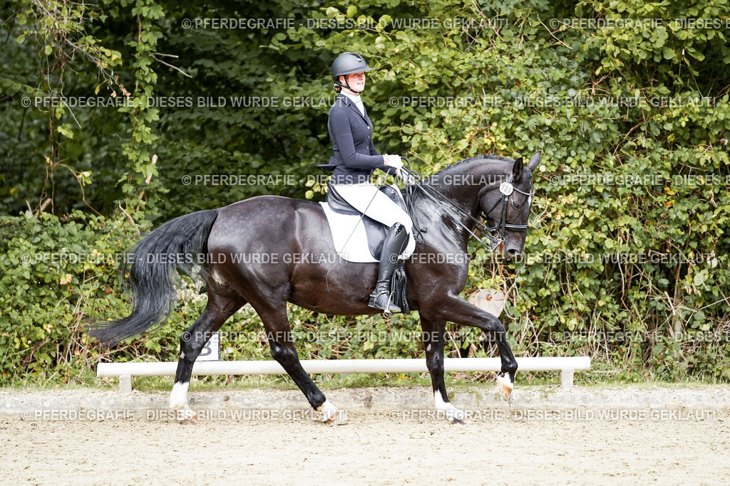 DSC05414 | Pferdegrafie