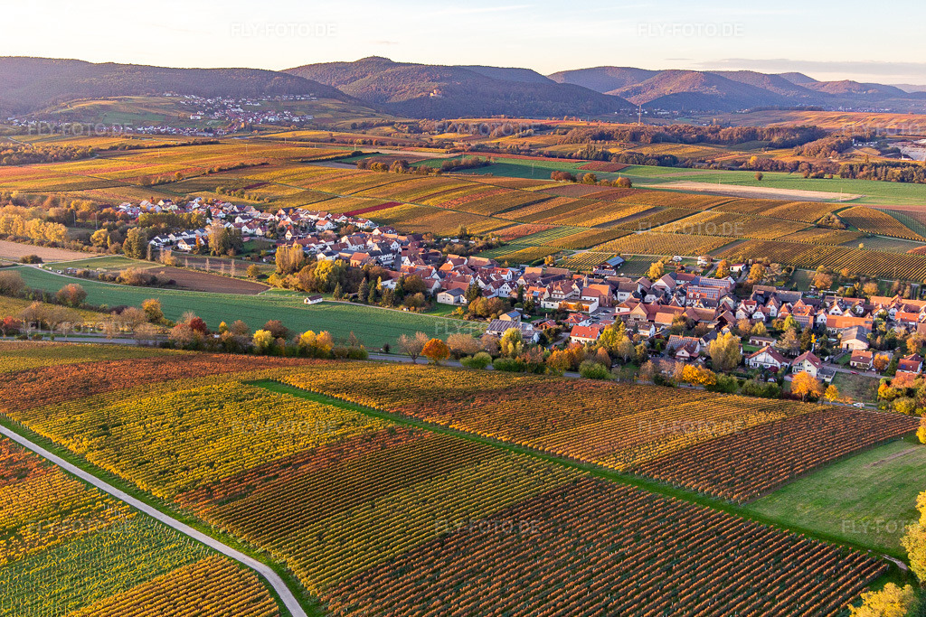 Luftbild: Ortschaft von Südosten in Niederhorbach im Bundesland Rheinland-Pfalz in Deutschland. Foto: IMG_143715.jpg vom 25.10.2024 durch Werner Riehm/FLY-FOTO.de