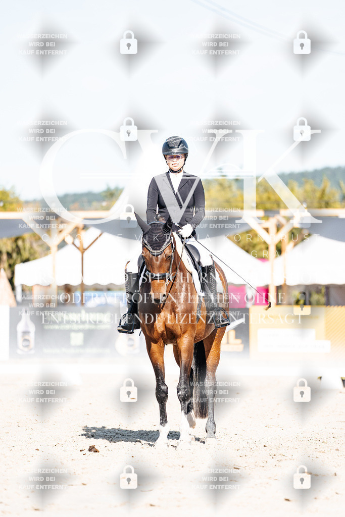 CK907925 | Turnierfotografie Pferdefotografie Trier Rheinland-Pfalz Pferdesport Reitsport Tierfotografie Sportfotografie Pferdevideo Pferdevideografie Equestrianvideography equestrianphotography  - Realisiert mit Pictrs.com