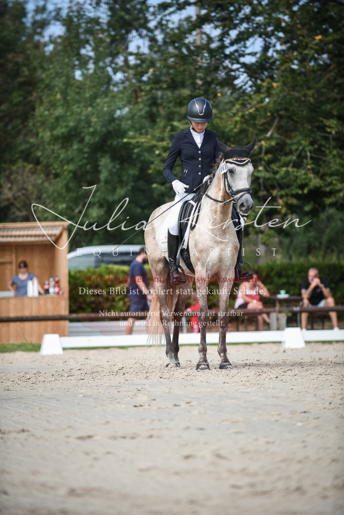 DSC_8704 | Pferde- und Turnierfotografie in Westsachsen. Pferdeportraits, Auftragszeichnungen und intuitive Kunst.