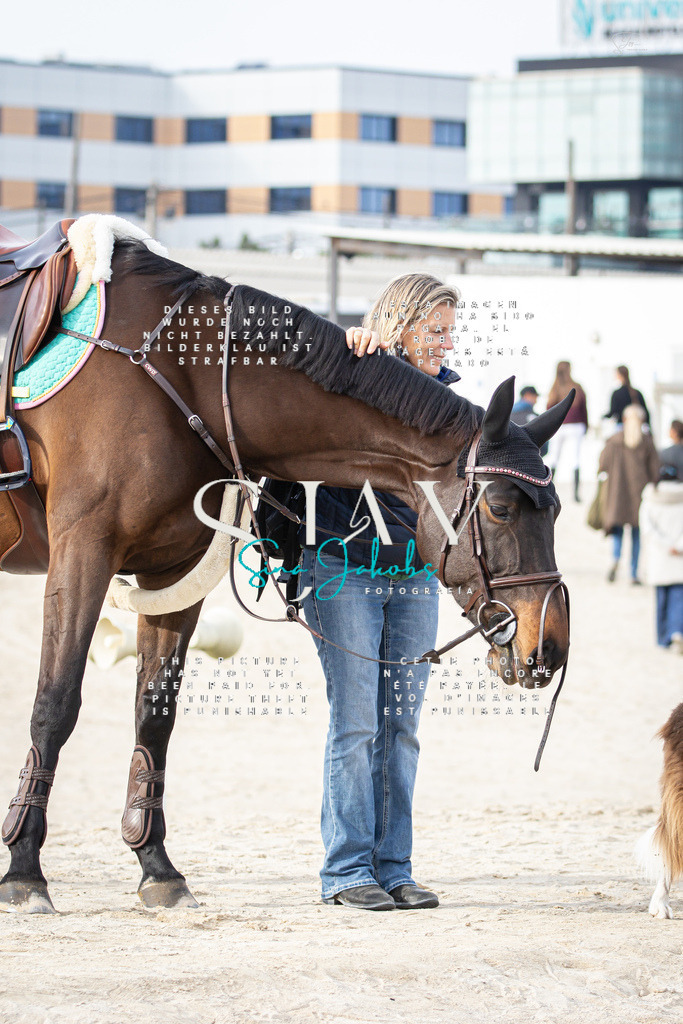 IMG_0438 | s-jay-photography - Realisiert mit Pictrs.com