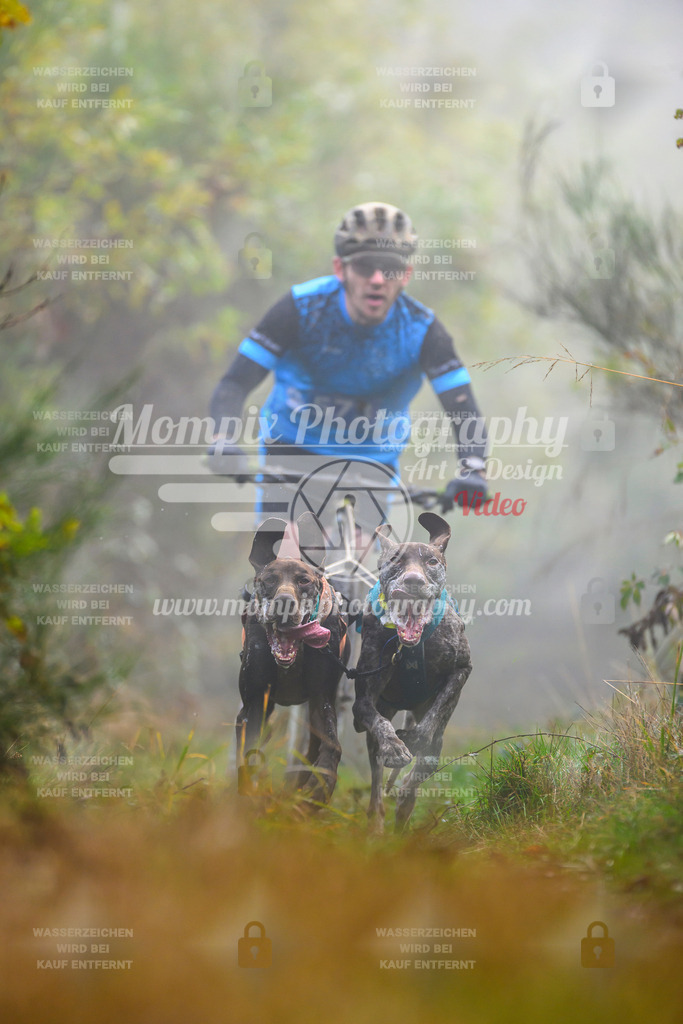 MompixPhotography_20TSB_E4_DS2-7 | PayLife