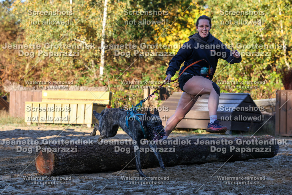 Dog Paparazzi - Strongdog 10-25-740 | Dog Paparazzi Jeanette Grottendiek Fotografie & Videografie - Realisiert mit Pictrs.com