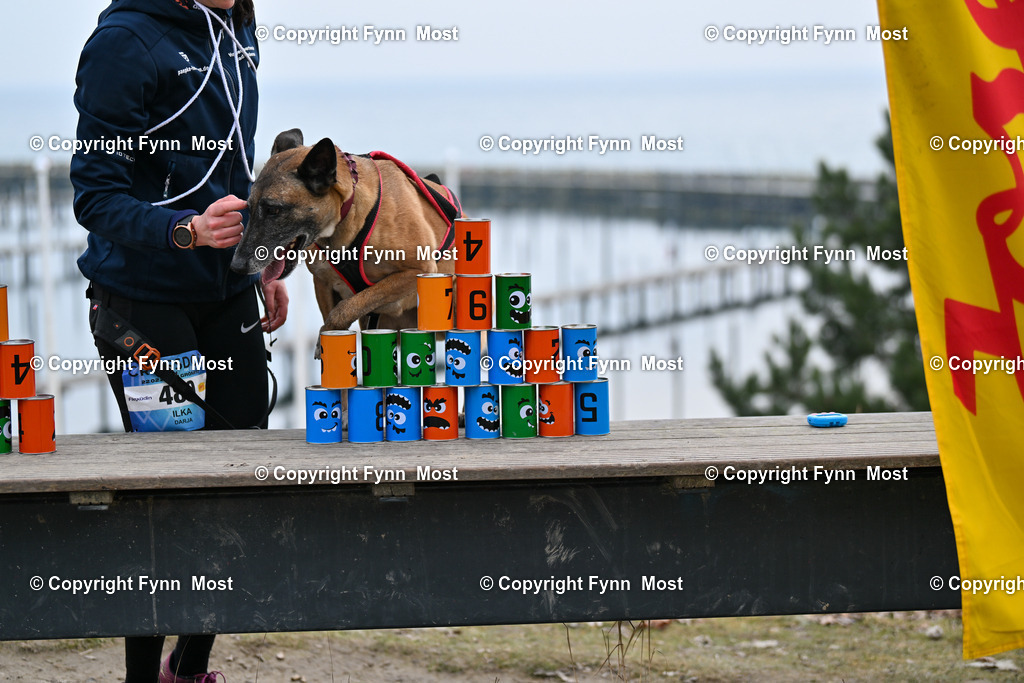 DSC_1340 | Hallo und herzlich Willkommen auf meiner Shop-Seite Fynn Most.

Ich wünsche Dir viel Spaß beim stöbern durch die Bilder, wenn Du Fragen hast oder Bilder vermisst, kannst du mir gerne eine Nachricht schreiben. - Realisiert mit Pictrs.com