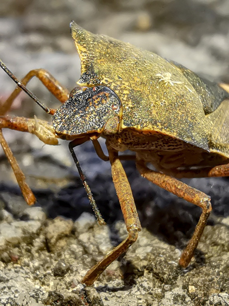 PSX_20230816_230741 | mtkfoto_ - Realisiert mit Pictrs.com