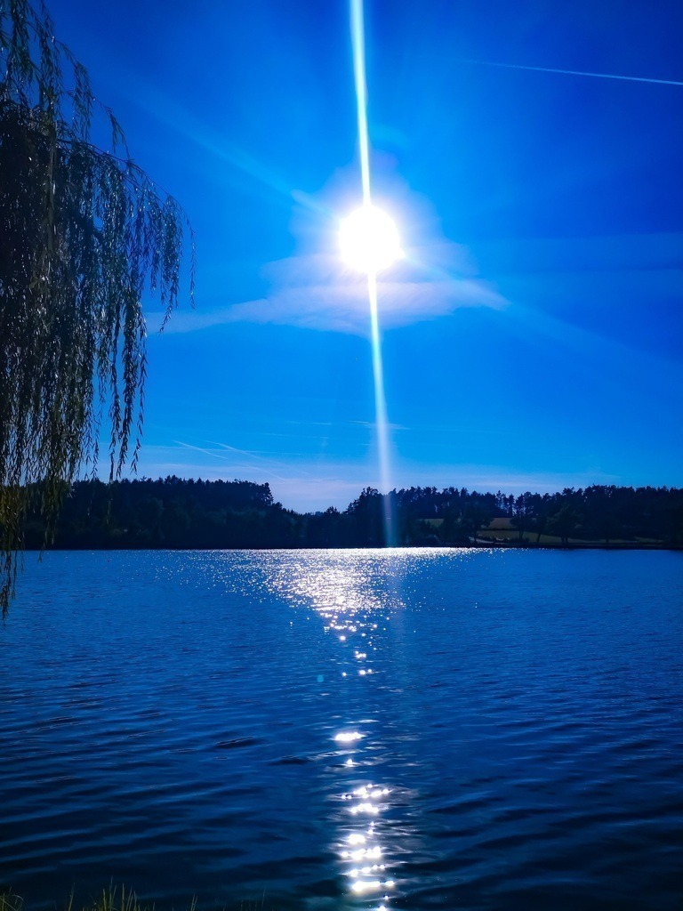 Sun over Wald4tel pond | Künstler/in Member of AKM/austromechana. Troubadour. 2026 a fascinating journey began with Tatjana my AI muse✨ METISSIREN set sails and left the harbor ⛵