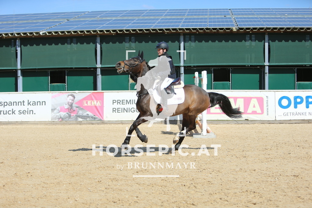 DL2Q2751 | Willkommen bei Brunnmayr - Design & Fotografie – Ihrem Spezialisten für Reitturniere und Pferdeveranstaltungen in Oberösterreich, Salzburg und Bayern! Seit über 17 Jahren sind wir leidenschaftlich dabei.