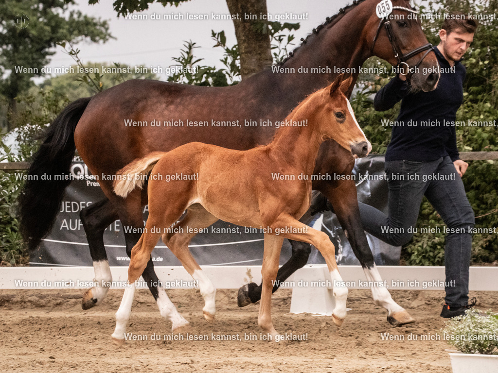 A10I5458 | photographylinaismer - Realisiert mit Pictrs.com