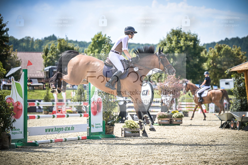 DOS_6271 | Entdecke hochwertige Reitturnierfotos von Foto Oger. Professionell, emotional und authentisch – jetzt Lieblingsmomente im Shop bestellen. - Realisiert mit Pictrs.com