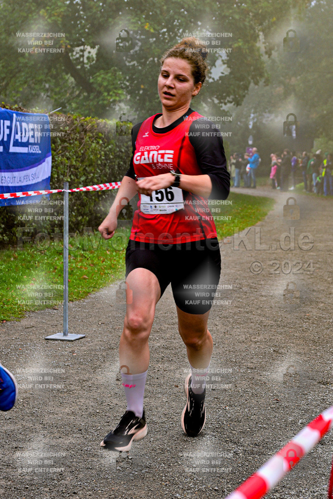 Z8N_1657 | la-psv - Realisiert mit Pictrs.com