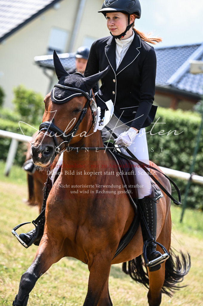 DSC_8633 | Pferde- und Turnierfotografie in Westsachsen. Pferdeportraits, Auftragszeichnungen und intuitive Kunst.