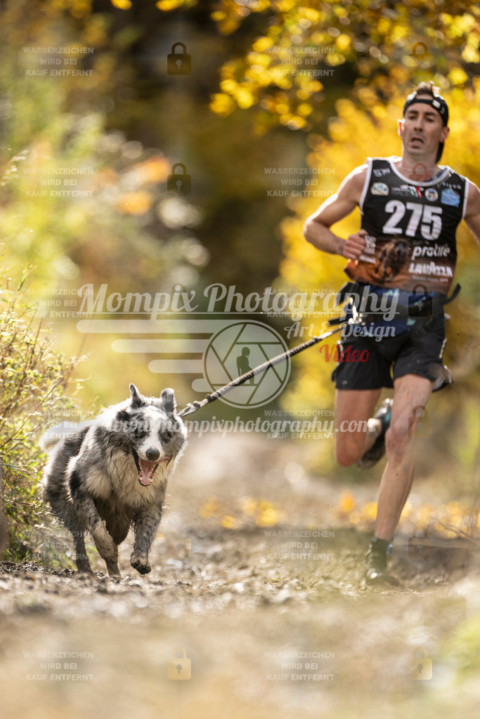 MompixPhotography_ICF_WC_2024_SA_Run_-93 | PayLife