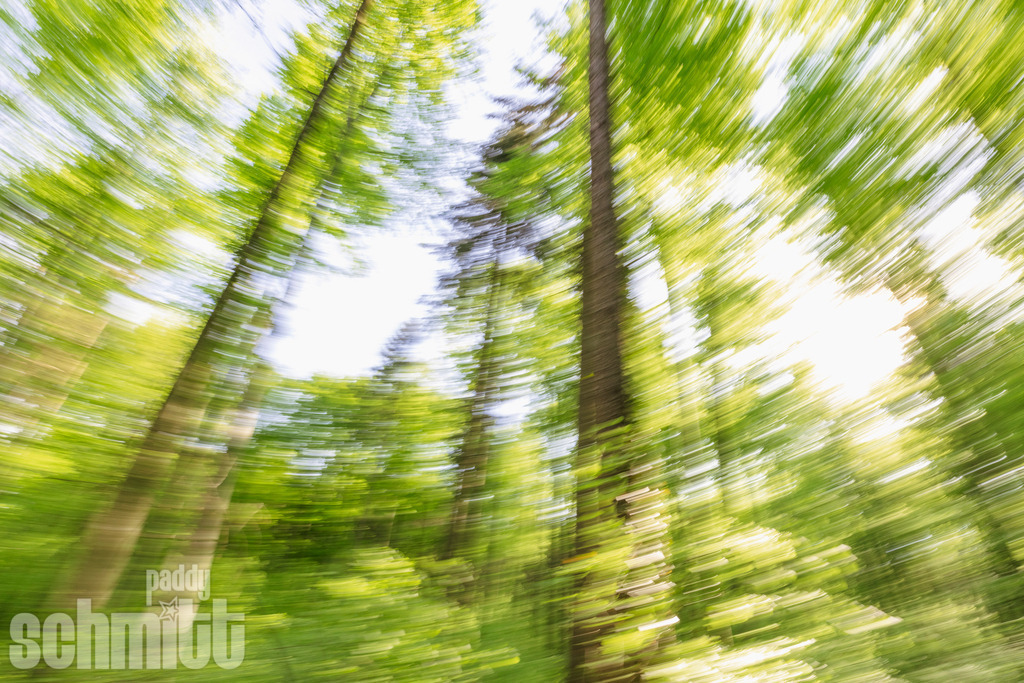 PS-Blur-2026-09 | Entdecke die größte Bildgalerie der Region mit Fotografien aus dem Allgäu, der Bodenseeregion, Oberschwaben, dem Donautal und der Schwäbischen Alb. Landschaften, Luftaufnahmen und Reisefotografie als Wandbild und Fotokunst. - Realisiert mit Pictrs.com