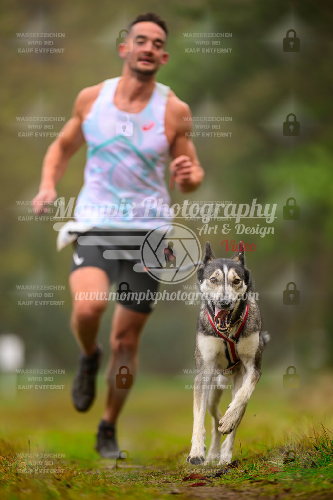 MompixPhotography_Bischwiller2025_Canicross-9 | mompixphotography