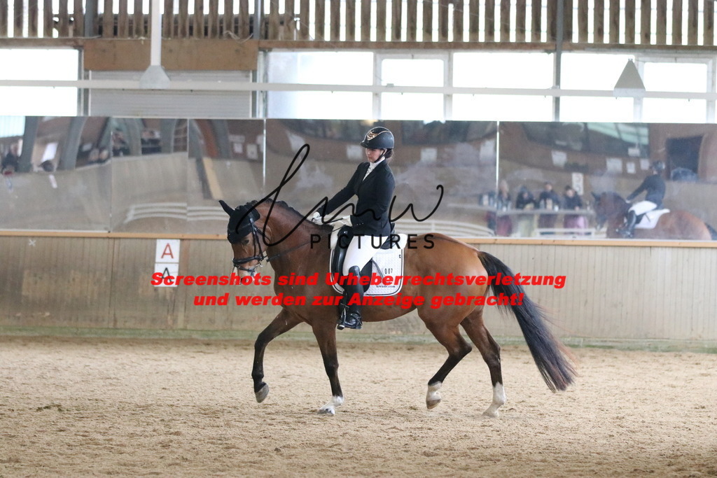 IMG_7266 | lmwpictures - Realisiert mit Pictrs.com