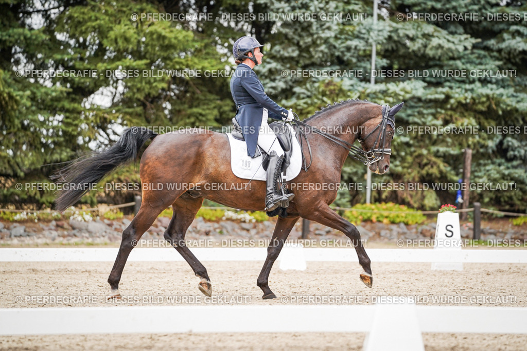 DSC07365 | Pferdegrafie