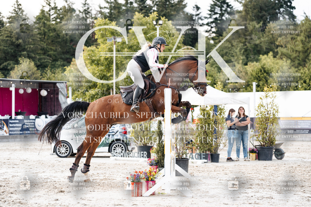 CK904065 | Turnierfotografie Pferdefotografie Trier Rheinland-Pfalz Pferdesport Reitsport Tierfotografie Sportfotografie Pferdevideo Pferdevideografie Equestrianvideography equestrianphotography  - Realisiert mit Pictrs.com