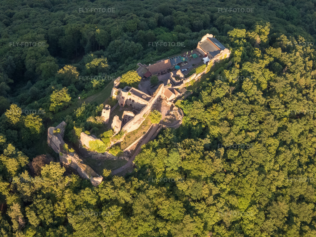 Luftbild: Burgruine Madenburg aus Westen in Eschbach im Bundesland Rheinland-Pfalz in Deutschland. Foto: P7130209.jpg vom 13.07.2017 durch Werner Riehm/FLY-FOTO.de – Madenburg