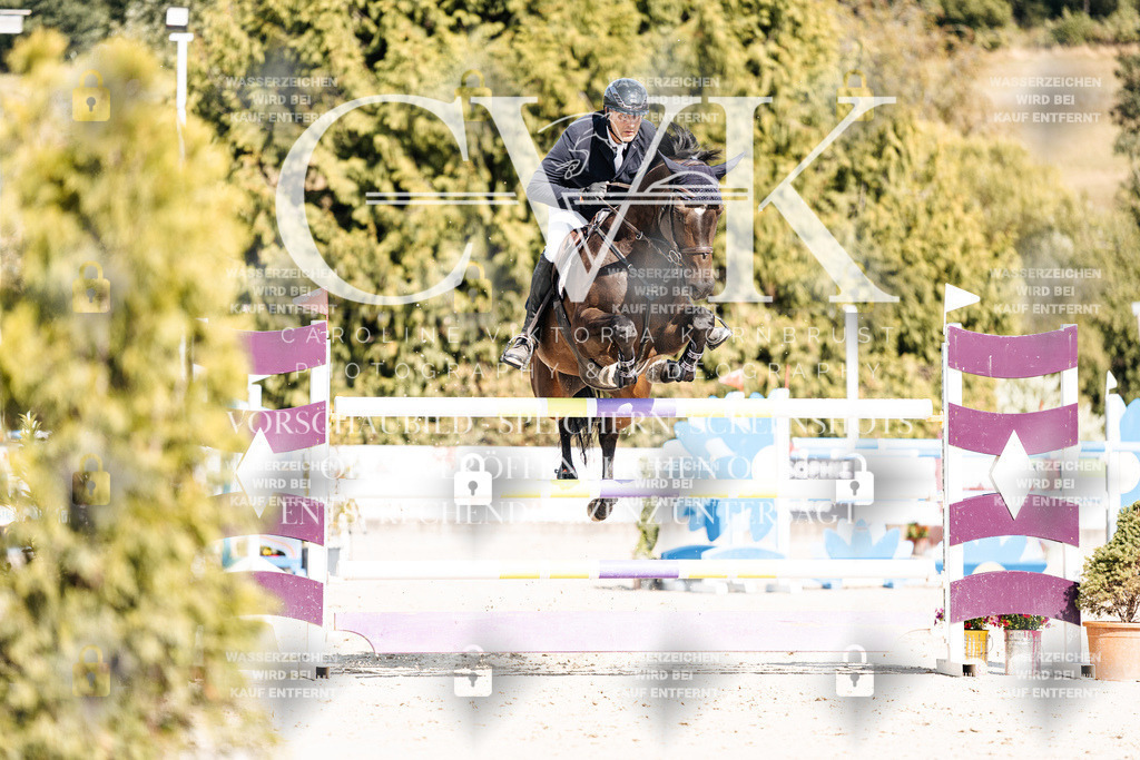CK909010 | Turnierfotografie Pferdefotografie Trier Rheinland-Pfalz Pferdesport Reitsport Tierfotografie Sportfotografie Pferdevideo Pferdevideografie Equestrianvideography equestrianphotography  - Realisiert mit Pictrs.com