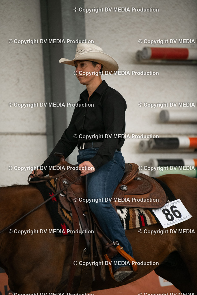 Heiligenwald Tag 1-255 | dv-media-shop - Realisiert mit Pictrs.com