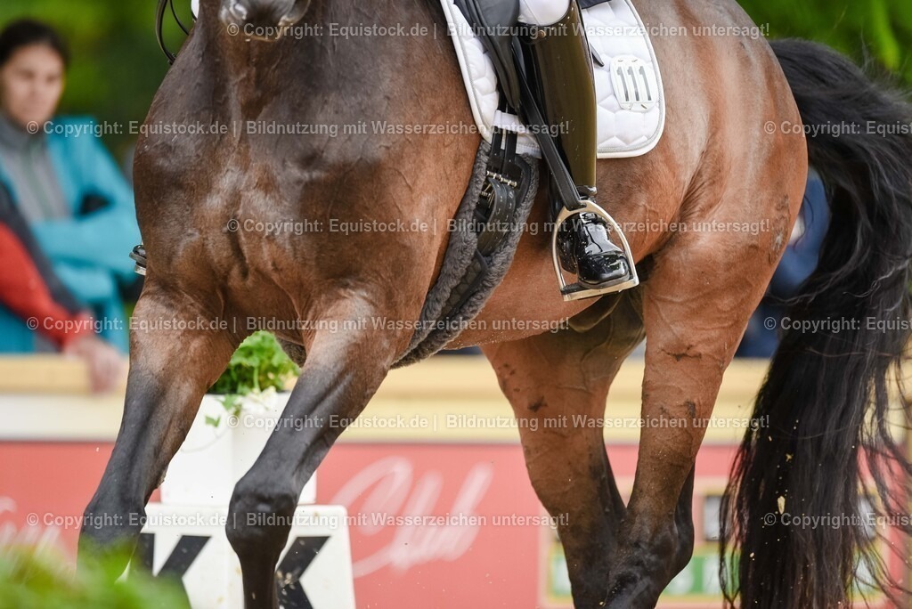 20250607_1_GP-Tour_Dressage_0334 | Foto: Thomas Hartig