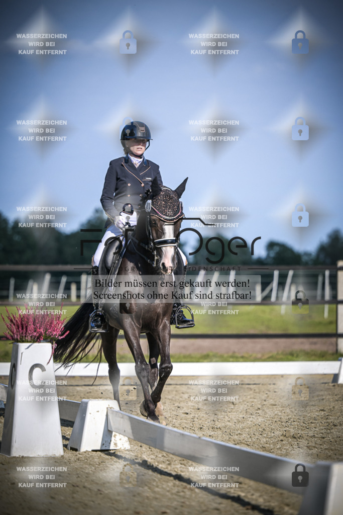DOS_3310 | Entdecke hochwertige Reitturnierfotos von Foto Oger. Professionell, emotional und authentisch – jetzt Lieblingsmomente im Shop bestellen.Deutschlandweite Turnierfotografie. - Realisiert mit Pictrs.com