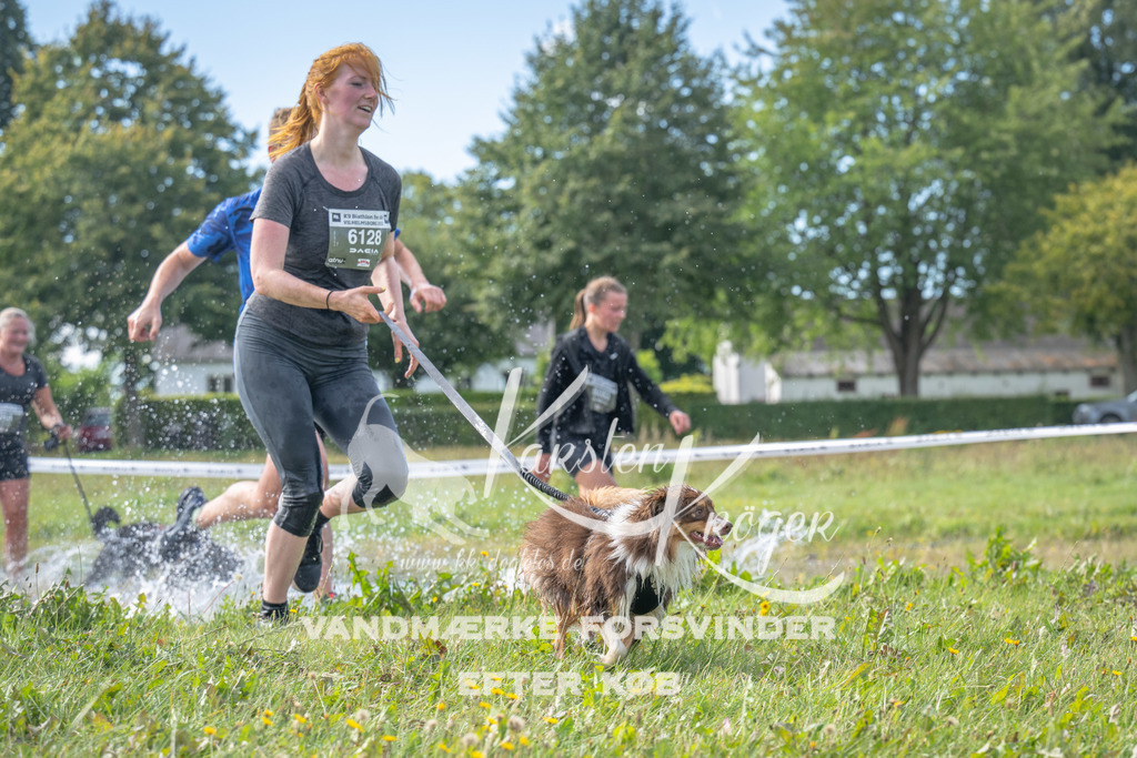 1158_ZZ90733 | kk-dogfotos