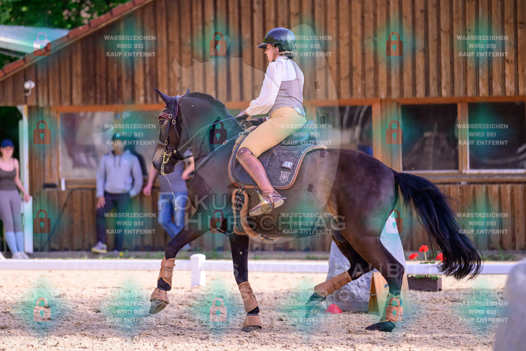 02052026-Giesenbach-03-Speedtrail-0145 | Fokus Hufschlag Fotografie - Realisiert mit Pictrs.com