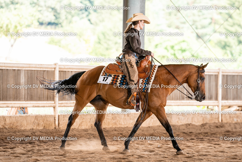 Erbach Tag 1-766 | dv-media-shop - Realisiert mit Pictrs.com