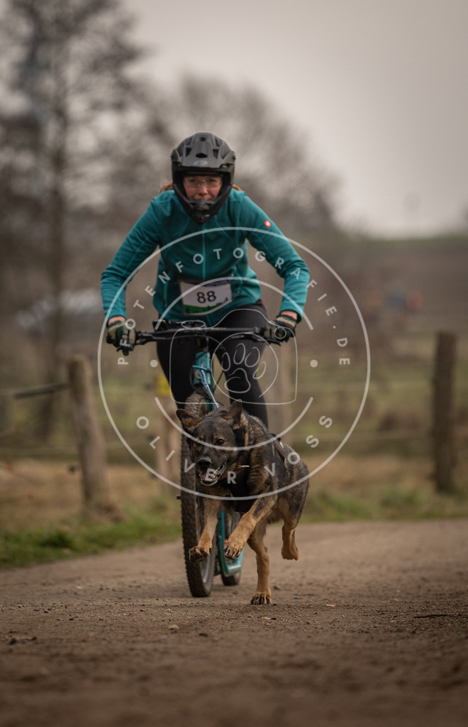 Pfotenfotografie_DV3A4152 | Hundefotografie, Tierfotograf, Pfotenfotografie, Fotoshooting Hund, Hunde Portrait, Hundesport, Hundeportraits, Heideshooting, Hunde, Sportfotograf, Hundefotograf, Turnierhundsport, THS,  - Realisiert mit Pictrs.com