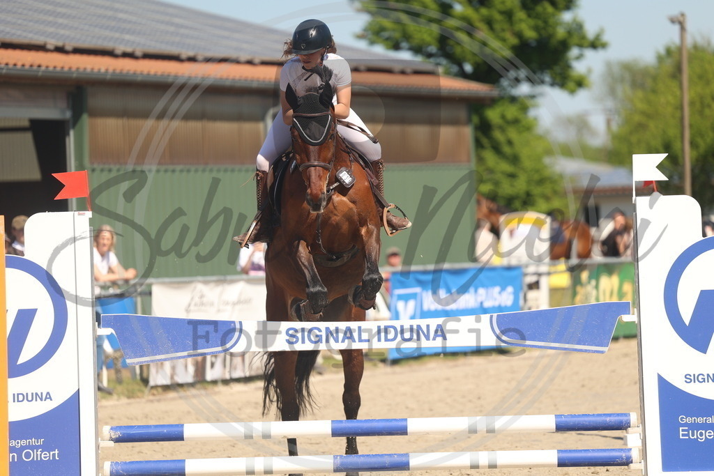 994A6021 | sabrinanicolaifotografie - Realisiert mit Pictrs.com