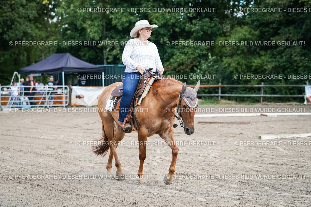 DSC05923 | Pferdegrafie