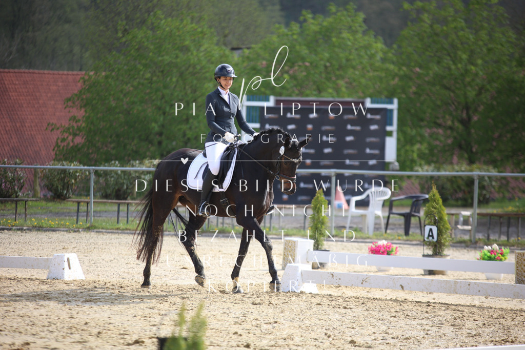 IMGT6361 | pl-fotografie