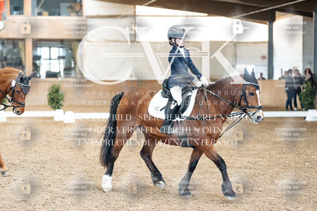 CK900621 | Turnierfotografie Pferdefotografie Trier Rheinland-Pfalz Pferdesport Reitsport Tierfotografie Sportfotografie Pferdevideo Pferdevideografie Equestrianvideography equestrianphotography  - Realized with Pictrs.com