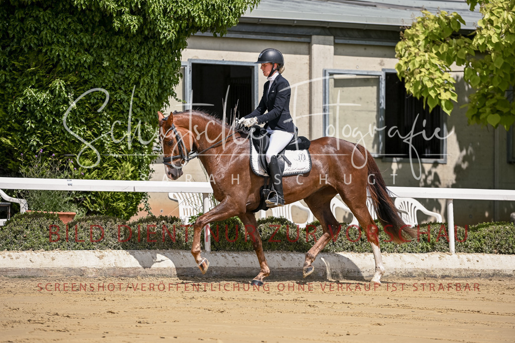 Schugtsche-Aluta25-48.Reitpferfdeprf.-76 | Schugtsche Fotografie - Realisiert mit Pictrs.com