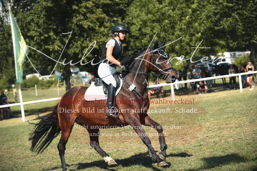 DSC_6976 | Pferde- und Turnierfotografie in Westsachsen. Pferdeportraits, Auftragszeichnungen und intuitive Kunst.