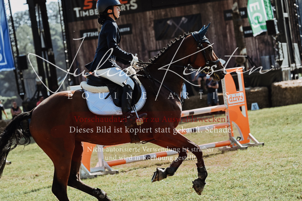 DSC_5543 | Pferde- und Turnierfotografie in Westsachsen. Pferdeportraits, Auftragszeichnungen und intuitive Kunst.