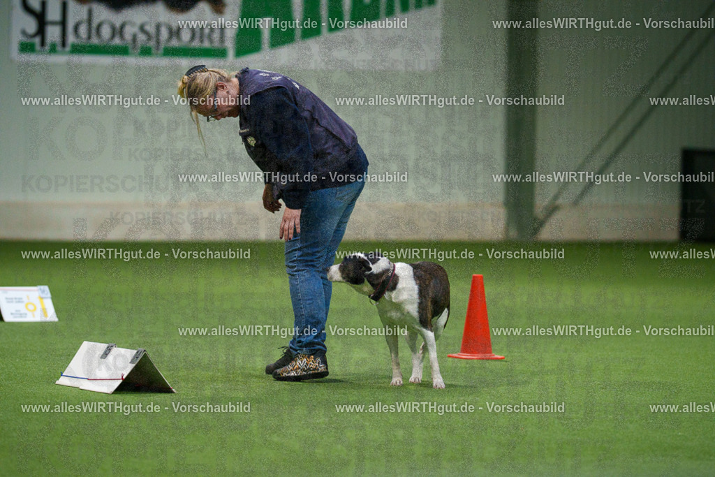 7R504746 | Professionelle Tierfotografie in Mönchengladbach von Daniel Wirth (allesWIRTHgut). Liebevolle & natürliche Bilder von Hunden & Katzen für unvergessliche Erinnerungen.