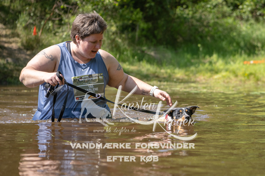 1527DKK993375 | kk-dogfotos