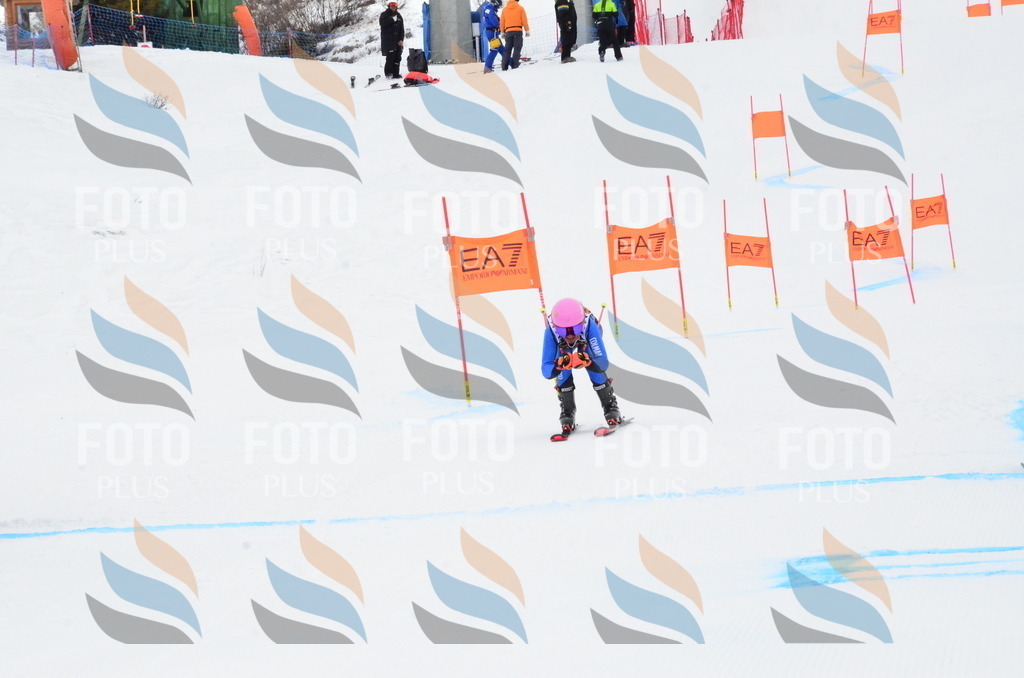 _ELE3533 | holidayphoto