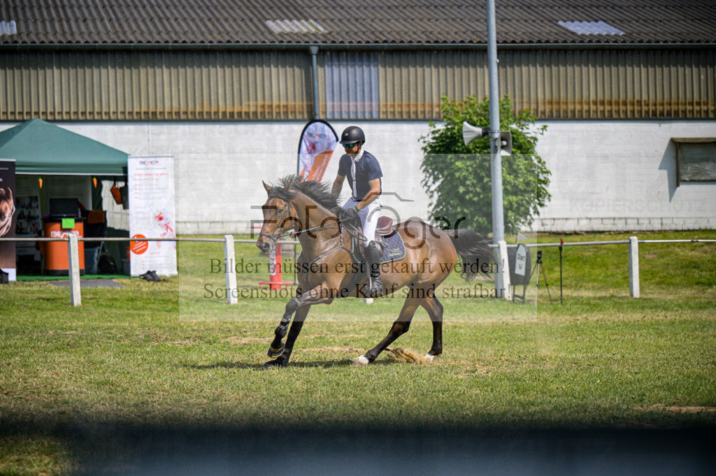 Reitturnier Voxtrup | Entdecke hochwertige Reitturnierfotos von Foto Oger. Professionell, emotional und authentisch – jetzt Lieblingsmomente im Shop bestellen.Deutschlandweite Turnierfotografie. - Realisiert mit Pictrs.com