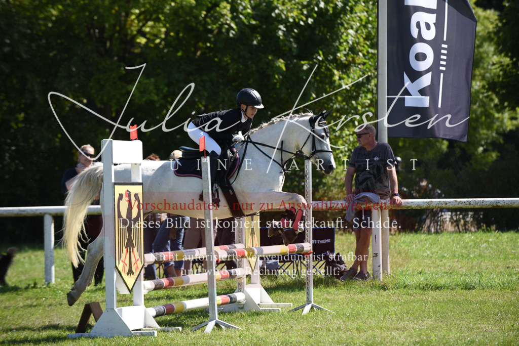 DSC_9491 | Pferde- und Turnierfotografie in Westsachsen. Pferdeportraits, Auftragszeichnungen und intuitive Kunst.