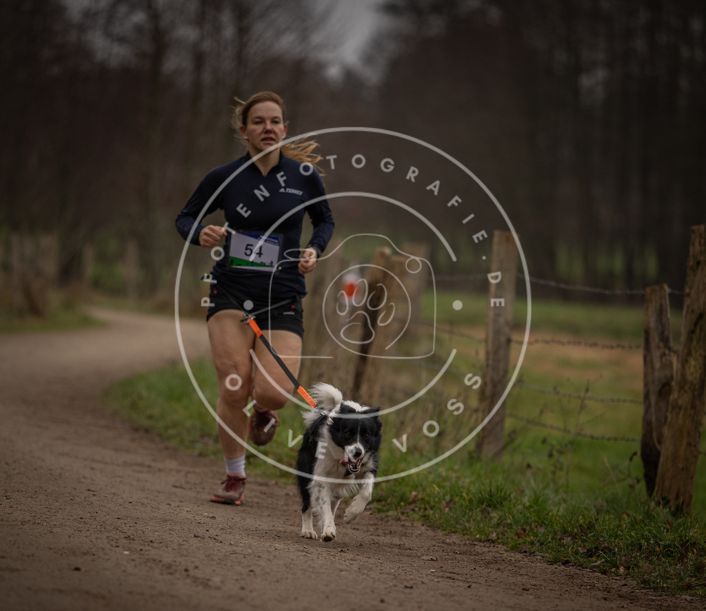 Pfotenfotografie_DV3A2987 | Hundefotografie, Tierfotograf, Pfotenfotografie, Fotoshooting Hund, Hunde Portrait, Hundesport, Hundeportraits, Heideshooting, Hunde, Sportfotograf, Hundefotograf, Turnierhundsport, THS,  - Realisiert mit Pictrs.com