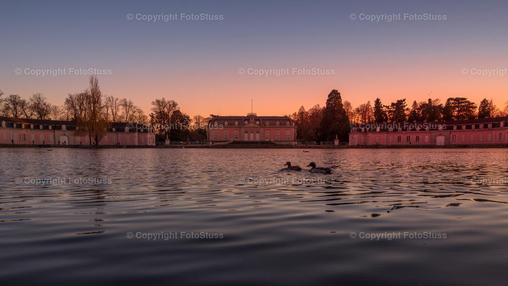 Teich am Schloss Benrath in Düsseldorf | Enten im Teich am Schloss Benrath in Düsseldorf am Abend - Realisiert mit Pictrs.com