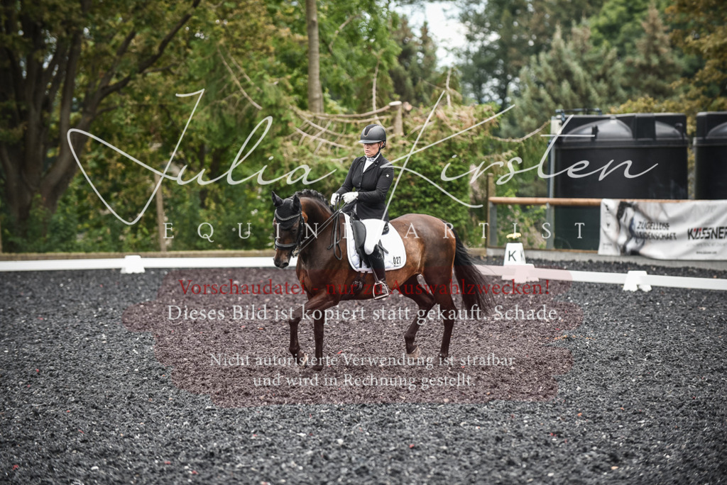 DSC_4869 | Pferde- und Turnierfotografie in Westsachsen. Pferdeportraits, Auftragszeichnungen und intuitive Kunst.