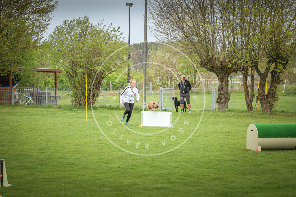 Pfotenfotografie_0L8A9473 | Hundefotografie, Tierfotograf, Pfotenfotografie, Fotoshooting Hund, Hunde Portrait, Hundesport, Hundeportraits, Heideshooting, Hunde, Sportfotograf, Hundefotograf, Turnierhundsport, THS,  - Realisiert mit Pictrs.com