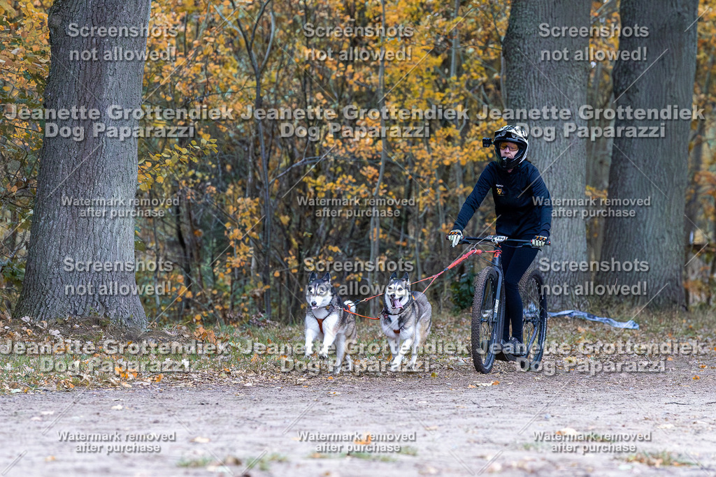 Dog Paparazzi - SD CaniX Championship 2025-161 | Dog Paparazzi Jeanette Grottendiek Fotografie & Videografie - Realisiert mit Pictrs.com