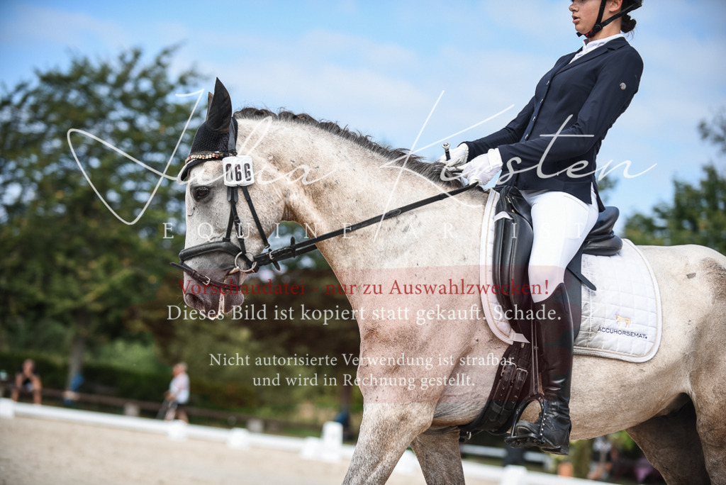 DSC_8692 | Pferde- und Turnierfotografie in Westsachsen. Pferdeportraits, Auftragszeichnungen und intuitive Kunst.