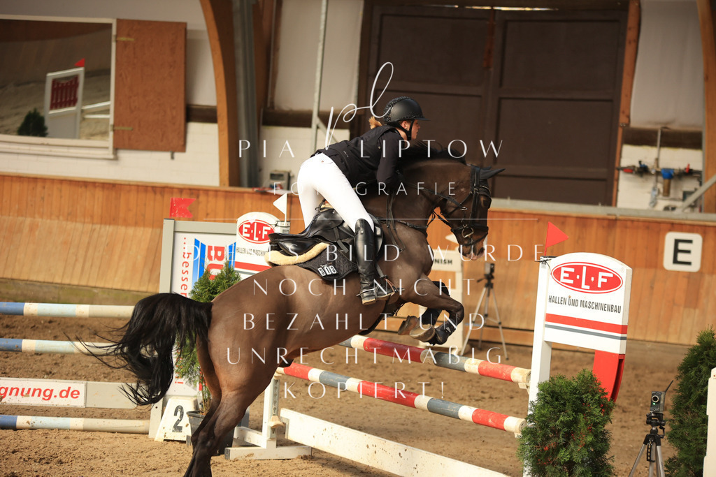 IMGT5991 | pl-fotografie