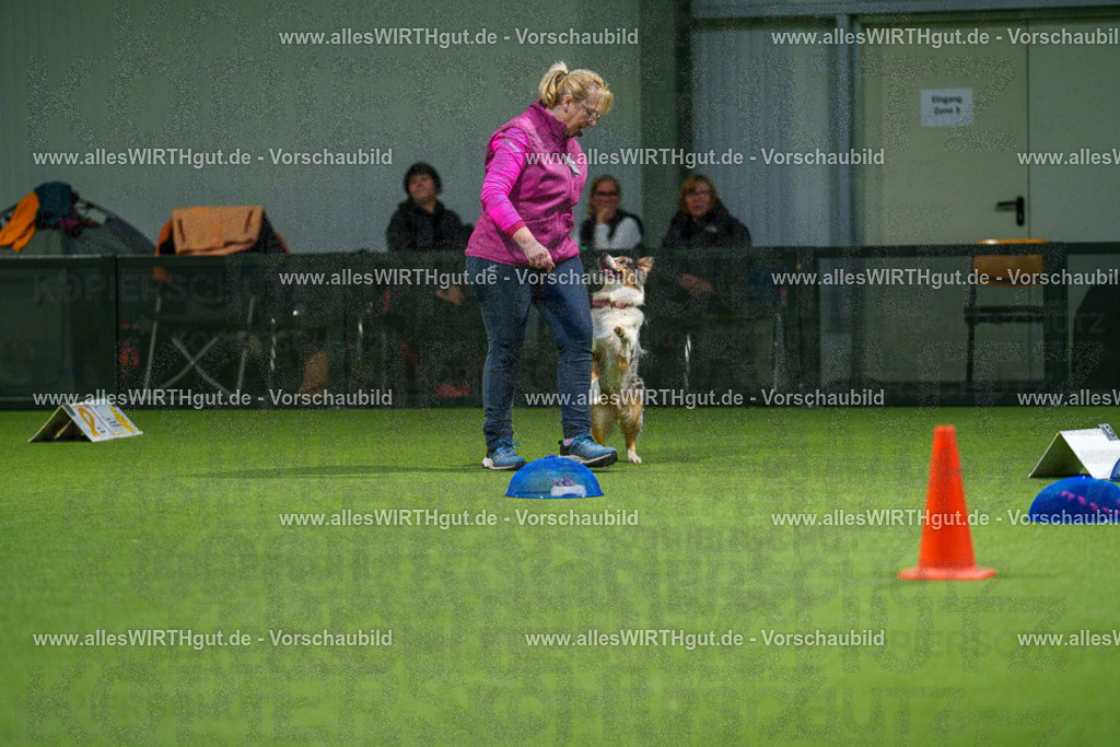 7R504118 | Professionelle Tierfotografie in Mönchengladbach von Daniel Wirth (allesWIRTHgut). Liebevolle & natürliche Bilder von Hunden & Katzen für unvergessliche Erinnerungen.